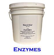 Enzymes